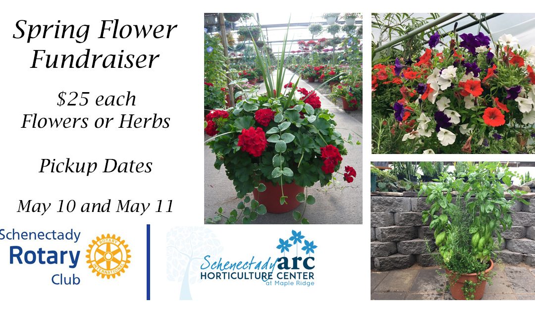 Mothers Day Flower Sale
