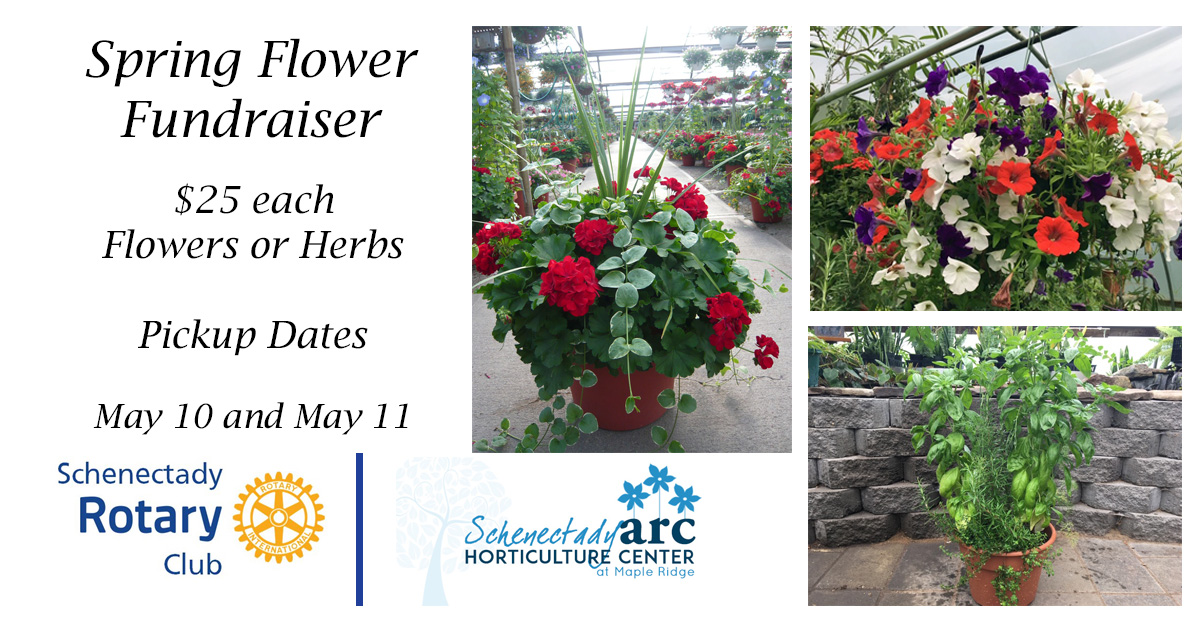 Mothers Day Flower Sale