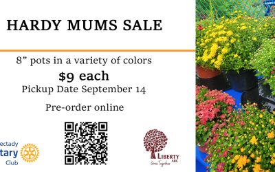 2024 Schenectady Rotary Annual Mums Sale